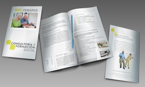 Díptico. Taller Wii